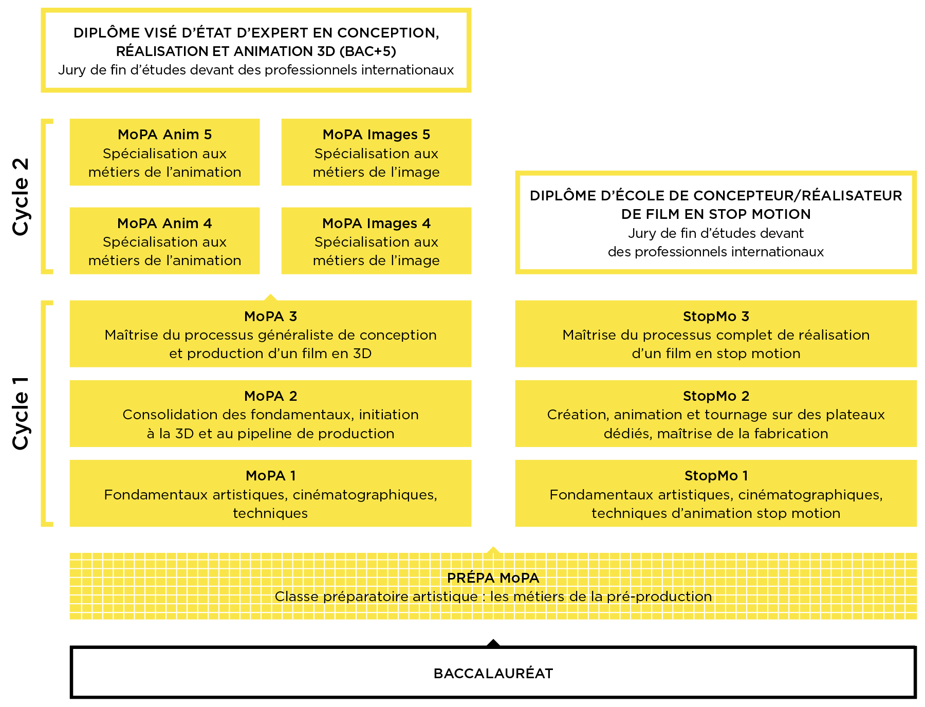 Ecole cinéma d'animation- Schéma des études complet MoPA