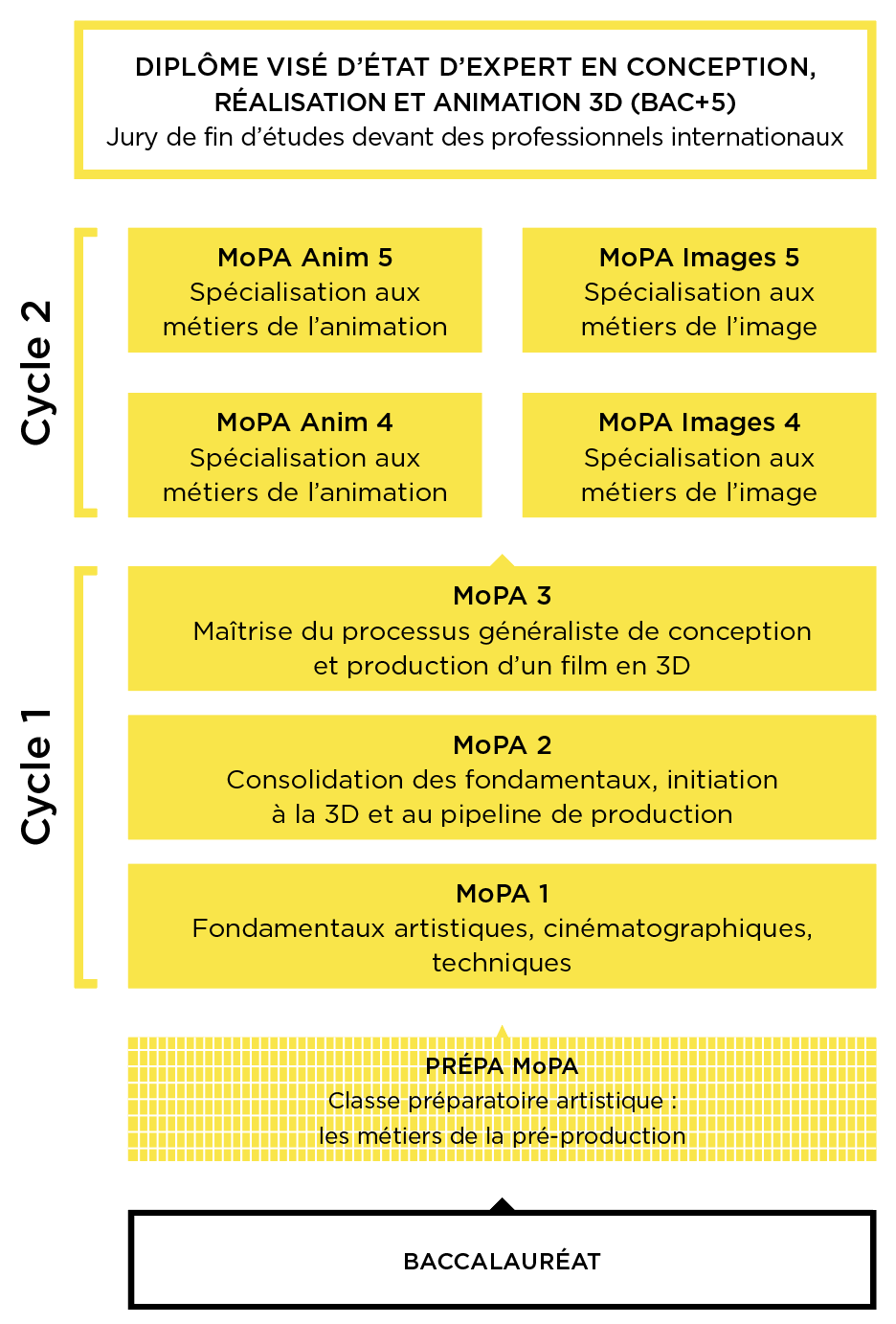 Schéma des études filière cinéma d'animation 3D MoPA